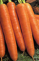 Семена морковки "Королева Осени" 50 грамм