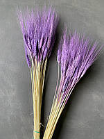 Пшениця Жізель світло фіолетова 50 шт