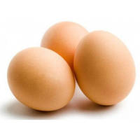 Яйце інкубаційне куряче породи Геркулес