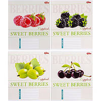 Зошит кольоровий шкільний 24 аркуші КЛІТИНКА «Мрії збуваються» / Sweet berries