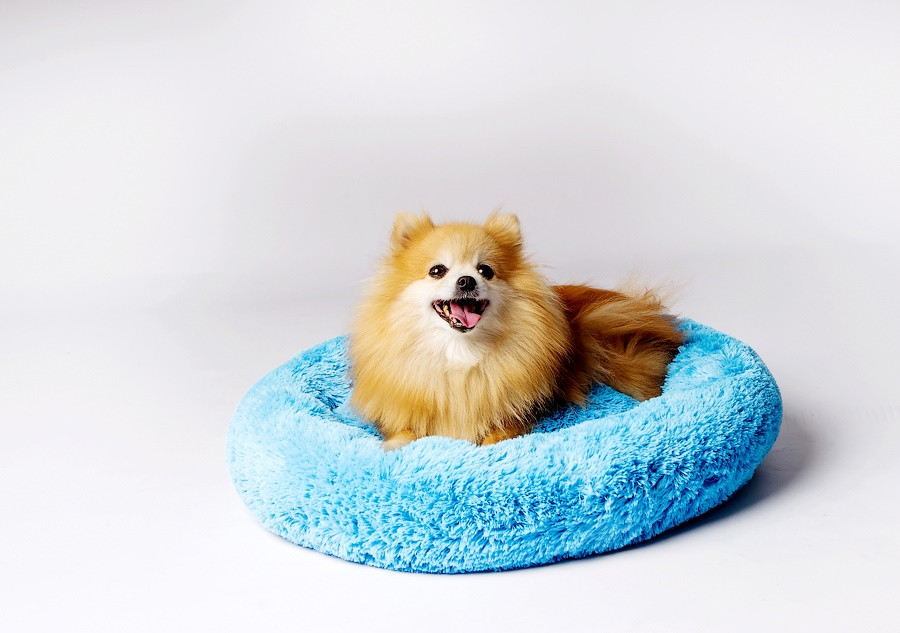 Спальне місце для собак і кішок лежак для маленьких собачок і котиків від 1 до 7 кг блакитного кольору
