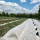 Агроволокно біле Херсонський Стандарт 40 (1,6х100), фото 5