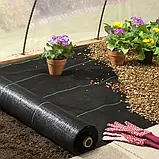 Агротканина Agreen чорна мульчуюча щільність100 г/м2 (1.6х100м), фото 7
