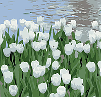 Картина за номерами Білі тюльпани 20х20 см HH5908 (Strateg)