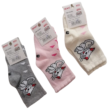 Шкарпетки бавовна 3-4 років для дівчинки