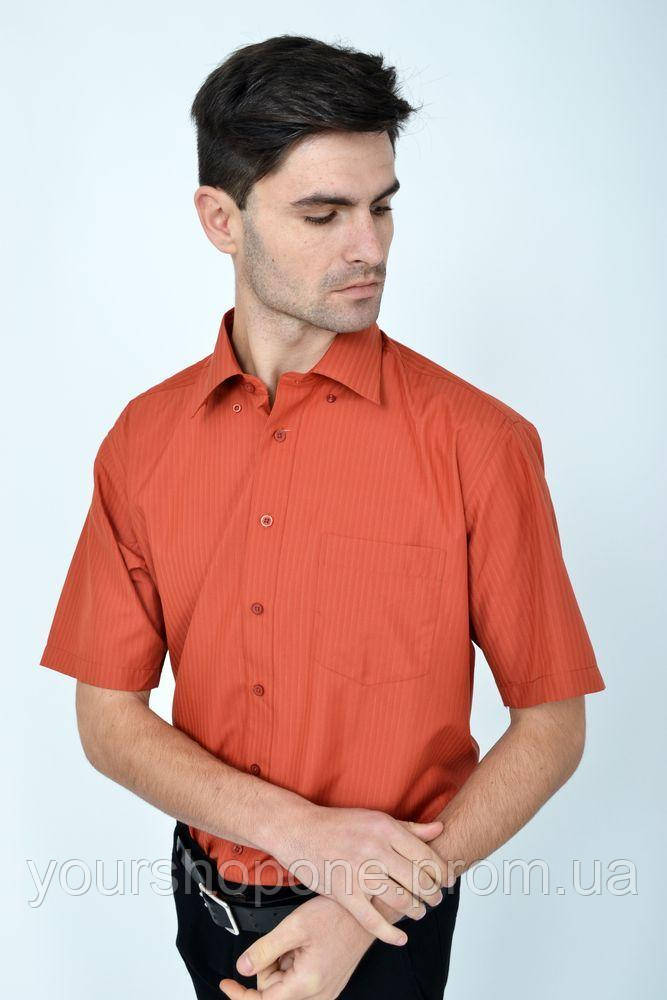 Рубашки, цвет кирпичный, 818-65 - фото 2 - id-p2063311247