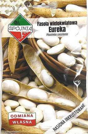 Насіння Квасолі на сухе зерно Еурека 50г ТМ SPOJNIA, фото 2
