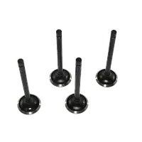 Клапана 2101 RAF випуск