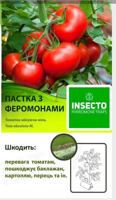 Феромонна пастка для томатної молі АМТ 160*260 мм (10 шт/уп)
