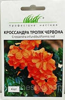 Кроссандра Тропік червоний 4 насінини (Hem Genetics)