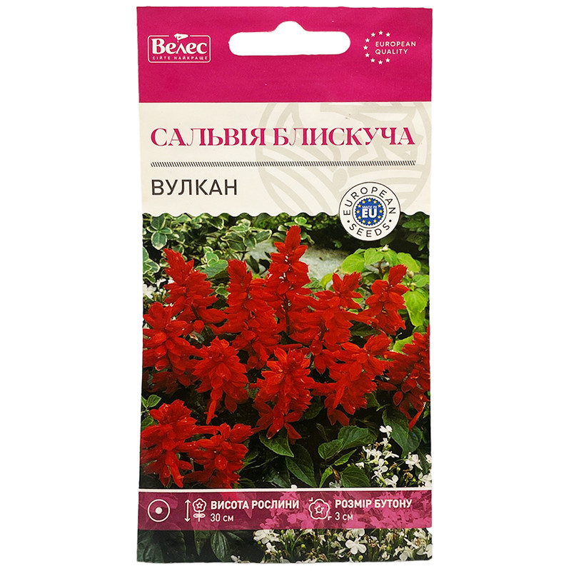 Насіння шавлії (сальвії) "Вулкан" (0,2 г) від ТМ "Велес", Україна