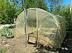 Теплиця "Говерла" 3х10м, труба 30х30мм з плівкою 200 мкн, фото 7