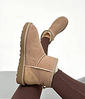 Женские короткие модные UGG Classic Mini Brown из натуральной замши и утеплителем с овчины 38