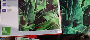 Ваги підлогові Ardesto SCB-965LEAVES No 23120614, фото 3