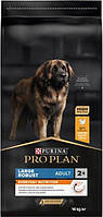 Pro Plan Dog Adult Large Robust - сухий корм для собак крупних порід з куркою(14кг)