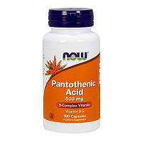 Pantothenice Acid 500 mg (100 caps)