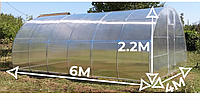 Теплиці Веган полікарбонат 4мм Розмір 4×6х2.2м Оцинкована квадратна труба 20х20х1мм bigtorg.in.ua