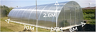 Теплиця Алмір 6×10м з квадратної труби Полікарбонат 4 мм bigtorg.in.ua