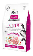 Сухой корм для котят Brit Care Cat GF Kitten Growth & Developmen с курицей и индейкой 2 кг (8595602540679)