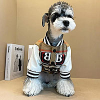 Бомбер для собак Стиляга размер L. Весенняя куртка для маленьких и средних собак