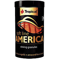 Корм Tropical Soft Line America M Америка 250 мл / 150 г для риб