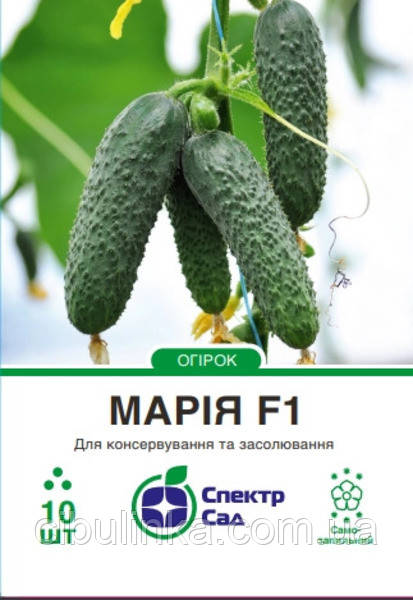 Насіння огірок Марія F1 Sakat/Японія 10 шт, фото 1