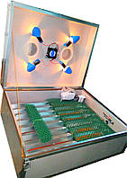 Інкубатор для яєць Насідка ІБА 140, автоматичний, з вентилятором