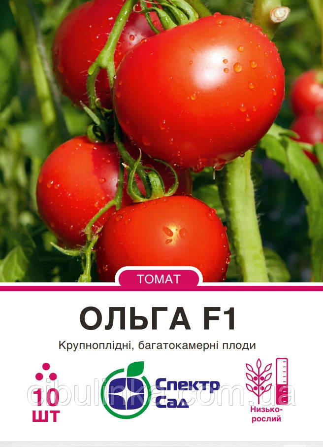 Насіння Томат Ольга F1 Hazera/Нідерланди 10 шт