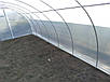 Теплиця  4х6м "Скеля" з полікарбонатом 4мм, фото 3