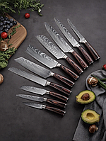 Набір ножів з нержавіючої сталі / професійні ножі для кухні / для м'яса, риби, овочів / 10 предметів