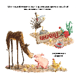 Індик іде до школи. Венді Сільвано, фото 6