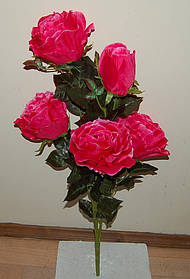 Т-174 Троянда "Геракл" 80х18  см