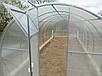 Теплиця 4х10м "Скеля" з полікарбонатом 6 мм, фото 4