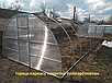 Теплиця 4х8м "Говерла" з полікарбонатом 4мм, фото 4