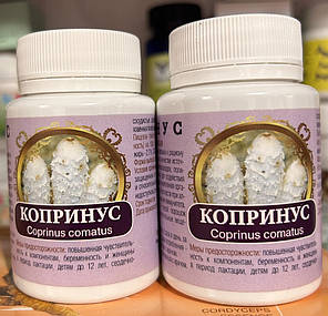 Копринус, Алкоголізм, цукровий діабет, Фунгодоктор, 60 капсул, фото 4