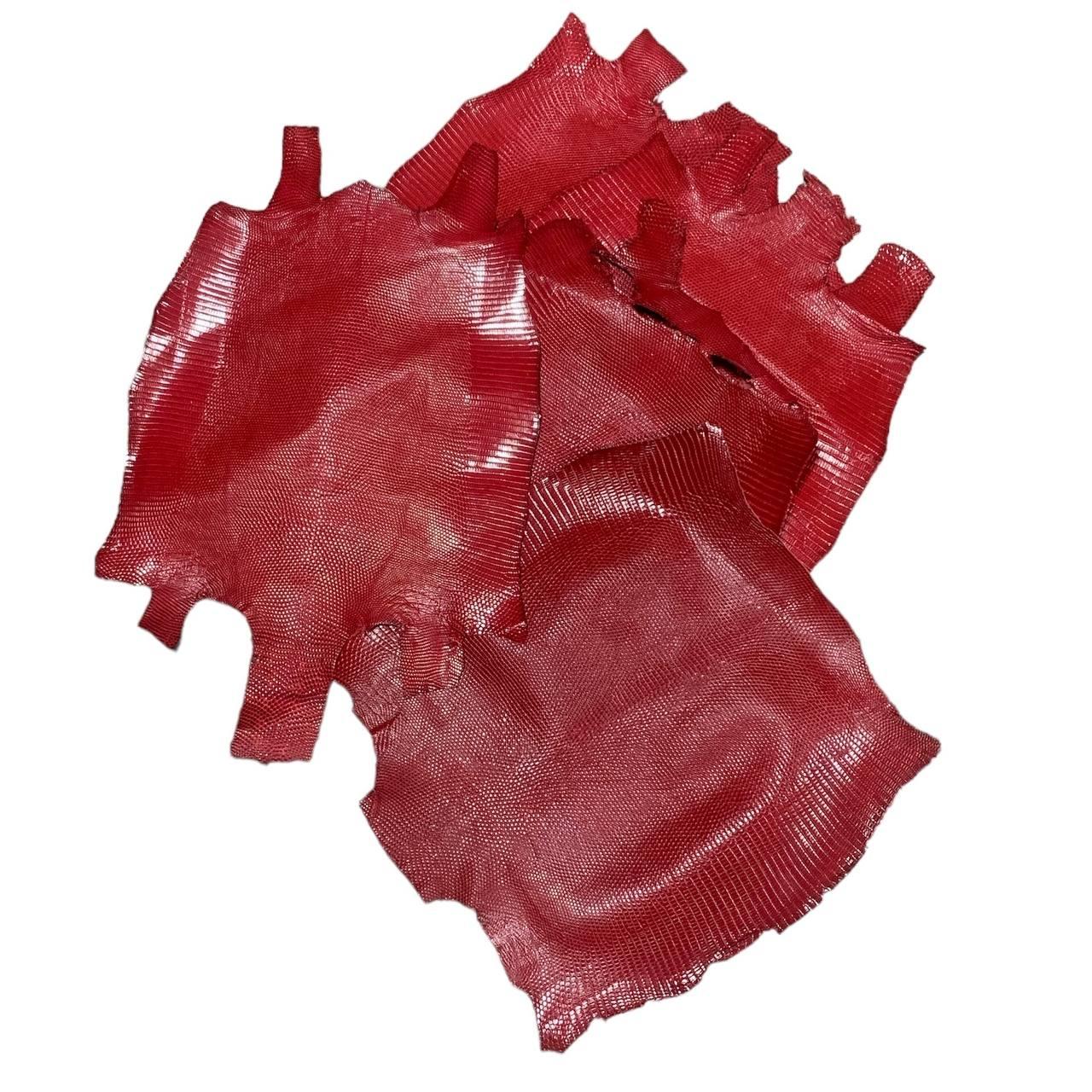 Натуральна шкура ігуана товщина 0,6 мм wine виробництва Італія