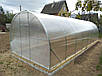 Теплиця 3х6м "Говерла" з полікарбонатом 6мм, фото 5