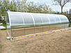 Теплиця 4х10м "Скеля" з полікарбонатом 6 мм, фото 5