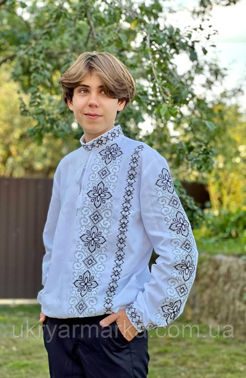 Чоловіча вишиванка модна "Гармонія стихій"