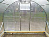 Теплиця  4х6м "Скеля" з полікарбонатом 6 мм, фото 6