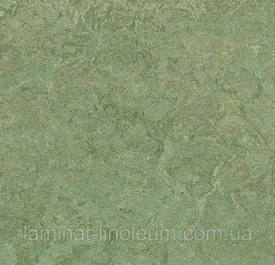 Натуральний лінолеум marmoleum sport 83212