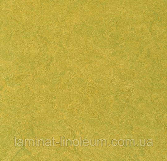 Натуральний лінолеум marmoleum sport 83878