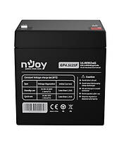 Аккумуляторная батарея Njoy GP4.5121F 12V 4.5AH (BTVACDUEATE1FCN01B) AGM DShop