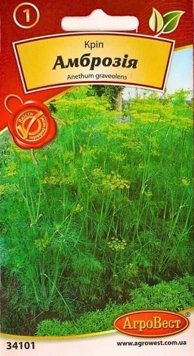 Насіння зелені кріп Амброзія 3г