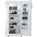 Холодильник Snaige C29SM-T1002E Білий DS, фото 4