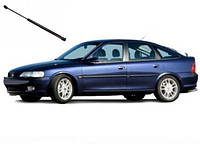 Амортизатор Багажника Opel Vectra B Хетчбек 1995-2003