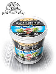 Блакитна лагуна (натуральний барвник спіруліна) концентрована паста ароматизована Fruityland 500 г