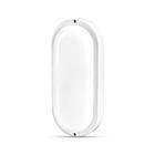 LED світильник вологозахищений овальний TITANUM 20W 6500K TL-BHO-206, фото 2