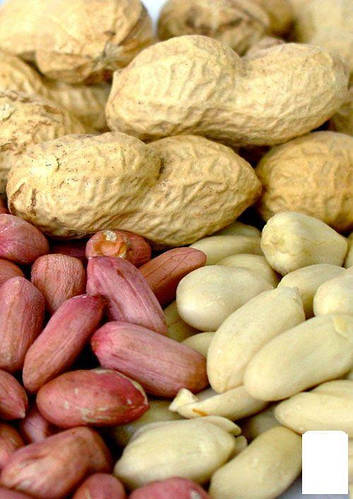 Арахис "Валенсия Украинская" ТМ "Vesna Select" 10шт (ID#1970306843 ...