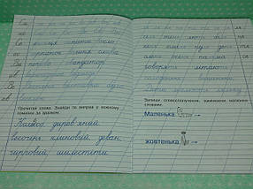 Охайне письмо, 2 клас, Зошит 2, Ільченко, Ранок, фото 3